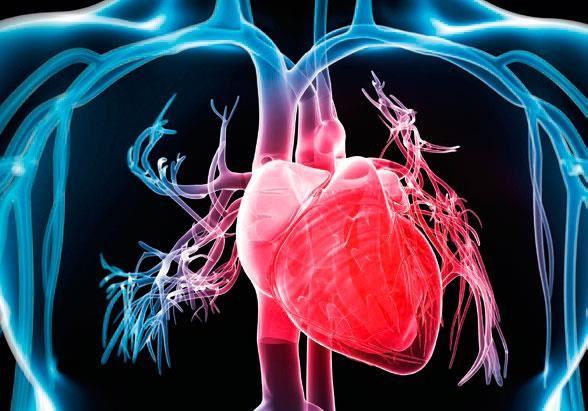 عوامل مؤثر بر نتیجه آزمایش آنزیم قلب